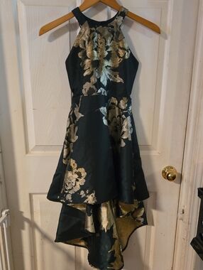 Poppies & Roses High-Low Floral Dress